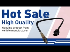 Bộ cảm biến oxy-31293740