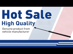 Hỗ trợ nâng nắp-31424539