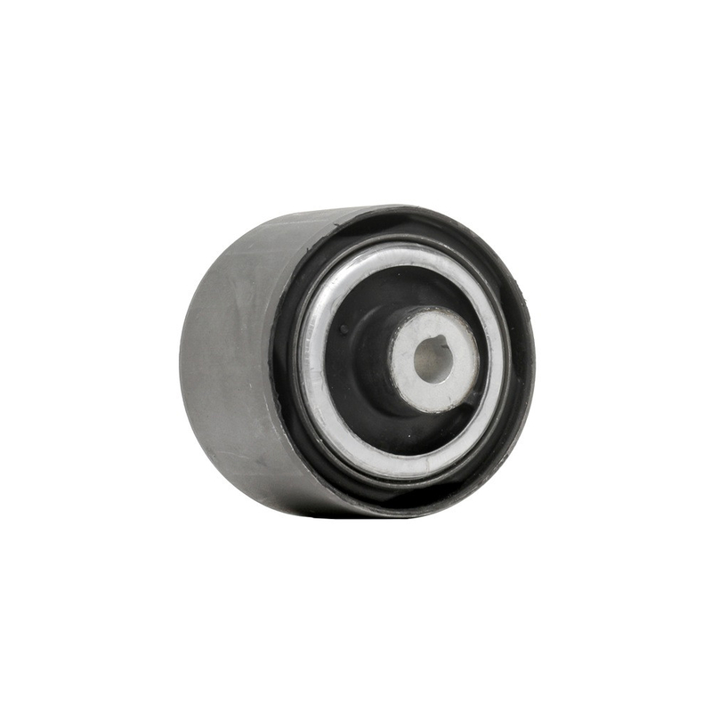 Bộ điều khiển phía trước thấp hơn ARM Bushing LR100072 cho Land Rover Discovery RR Sport