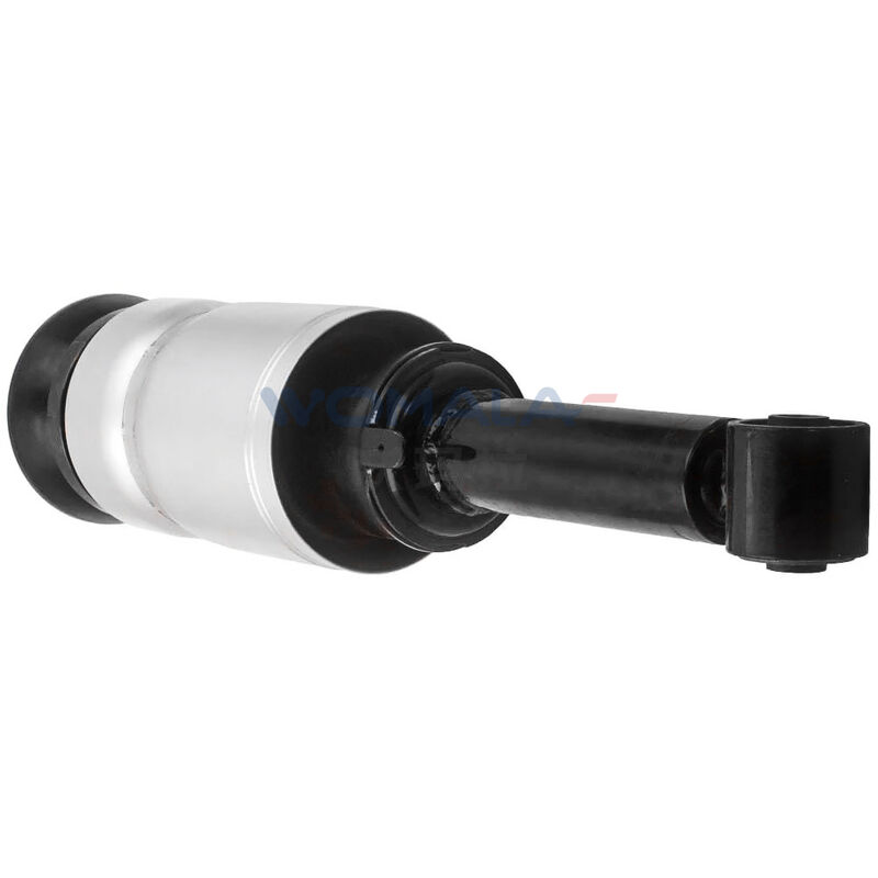 Womala RNB501580 Bộ hấp thụ sốc phía trước cho Land Rover Discovery 3 RNB501250 RNB501180