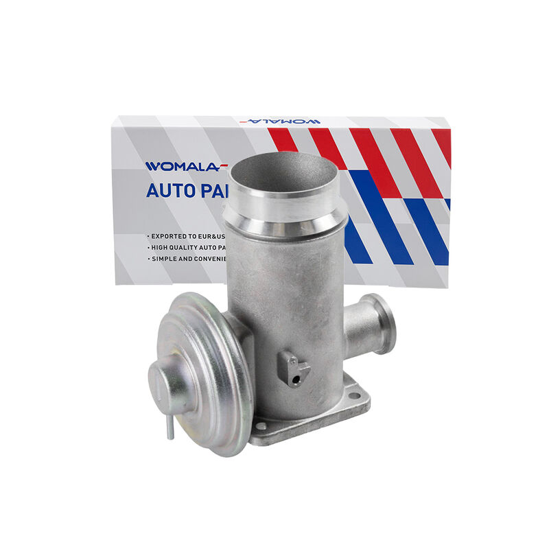 Womala phụ tùng ô tô van tái tuần hoàn khí thải OE 11717792077 van EGR cho BMW