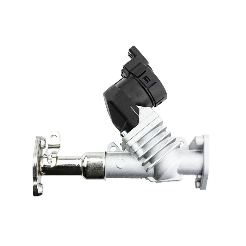 Van EGR Womala Auto Parts 11717563241 11718479590 cho Bmw 1/3/5 Series