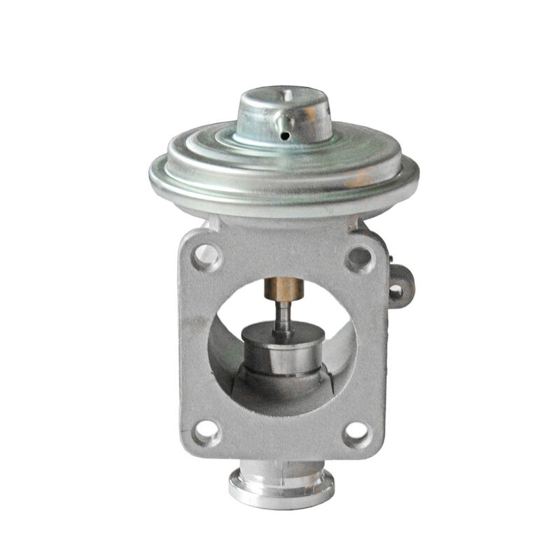 Womala EGR Valve 11717804352 Van tuần hoàn khí thải cho BMW Series 3/5/6/7