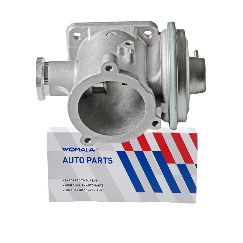 Womala EGR Valve 11717804352 Van tuần hoàn khí thải cho BMW Series 3/5/6/7