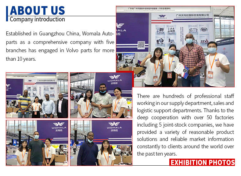 Đèn báo rẽ bên phải Womala OE 30655423 cho Auto Parts S80 -06